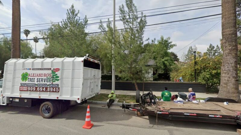 The dawg house - Redlands, CA