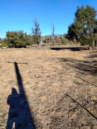 The dawg house - Redlands, CA