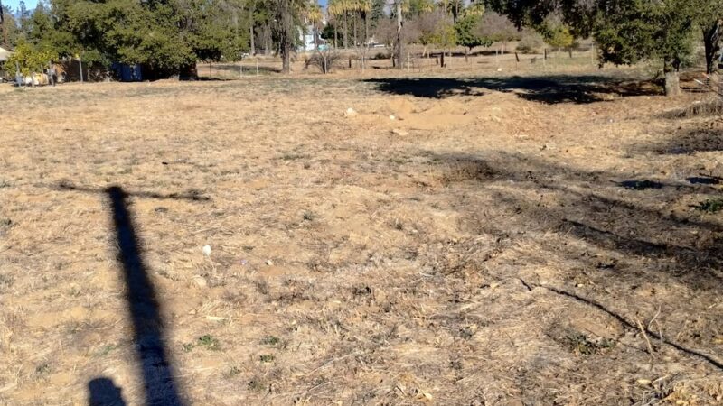 The dawg house - Redlands, CA