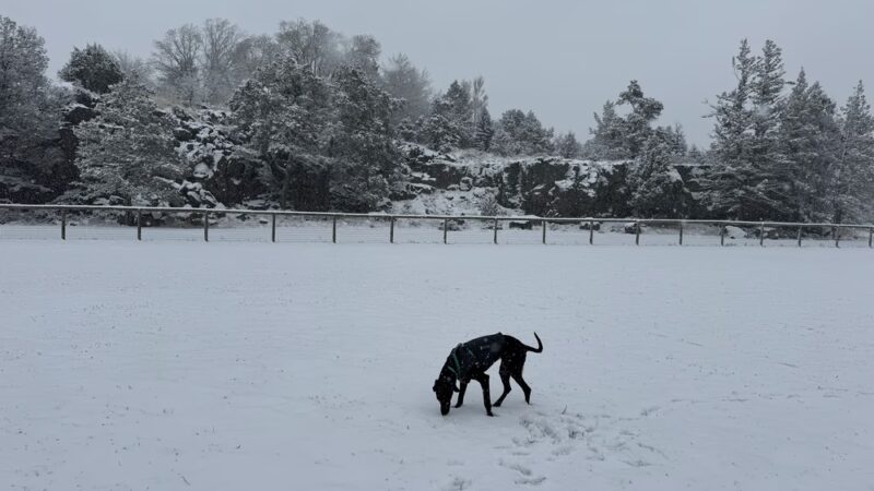 Dry Canyon trail Dog park - Redmond, OR