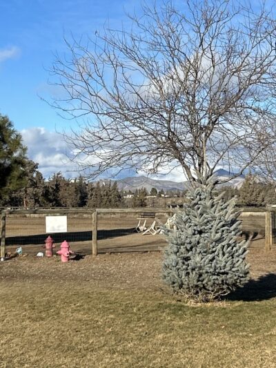 Dry Canyon trail Dog park - Redmond, OR