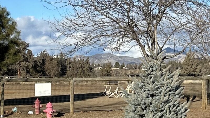 Dry Canyon trail Dog park - Redmond, OR