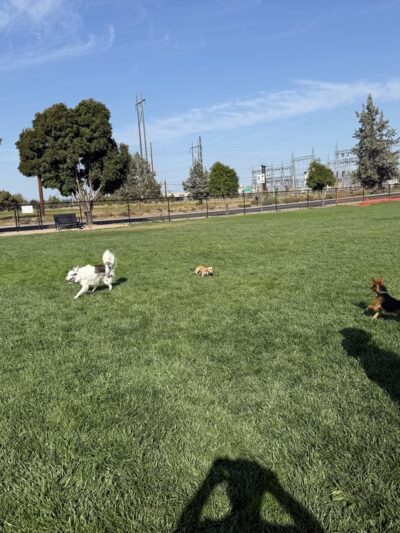 Highland Baptist Dog park - Redmond, OR