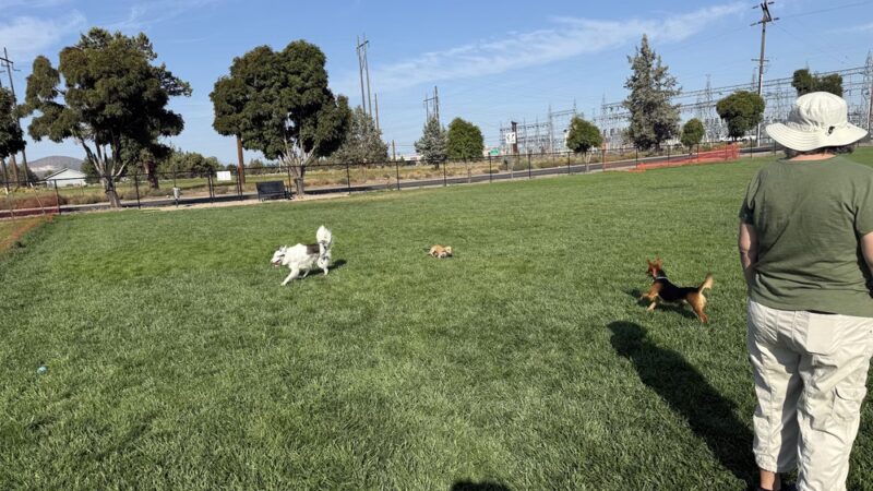 Highland Baptist Dog park - Redmond, OR