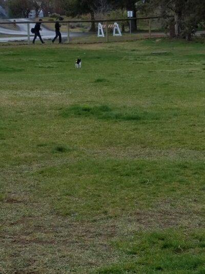 Weigand Family Dog Park - Redmond, OR