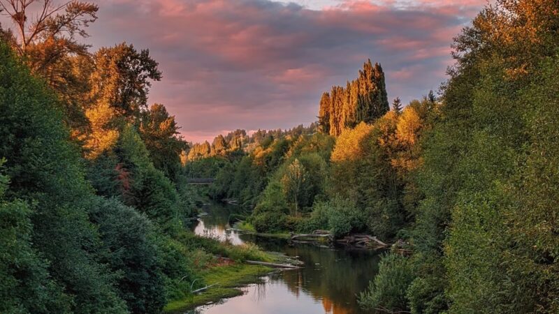 Luke McRedmond Park - Redmond, WA
