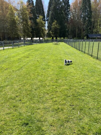 Luke McRedmond Park - Redmond, WA