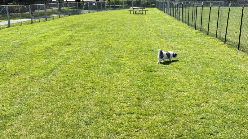 Luke McRedmond Park - Redmond, WA