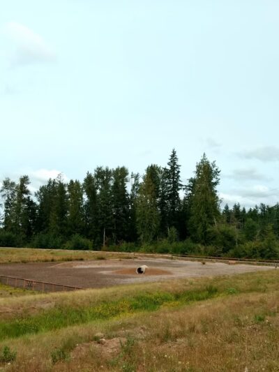 Redmond Ridge East Dog Park - Redmond, WA