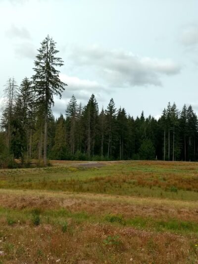 Redmond Ridge East Dog Park - Redmond, WA