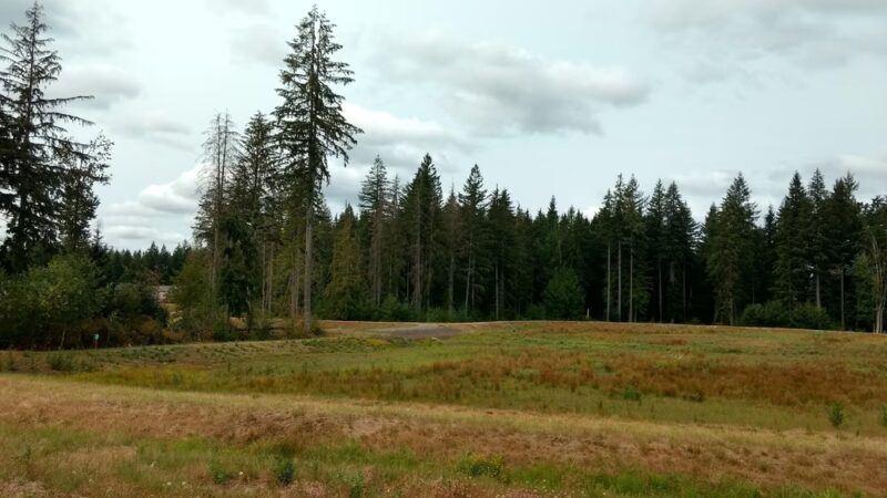 Redmond Ridge East Dog Park - Redmond, WA