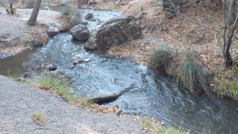 Garrett Park - Redwood City, CA