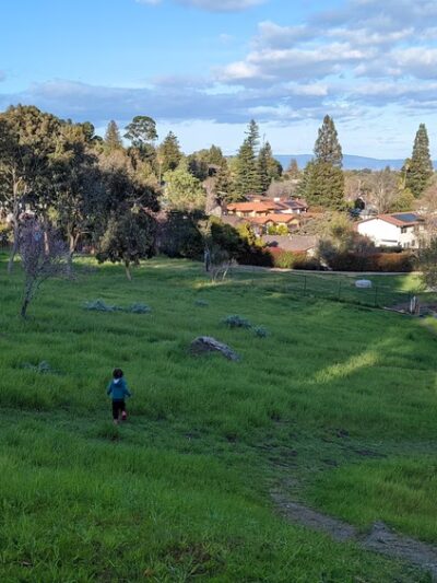Garrett Park - Redwood City, CA