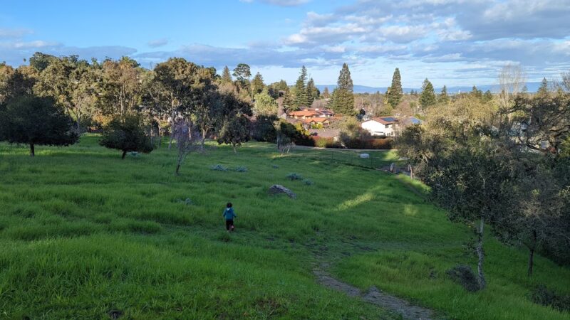 Garrett Park - Redwood City, CA