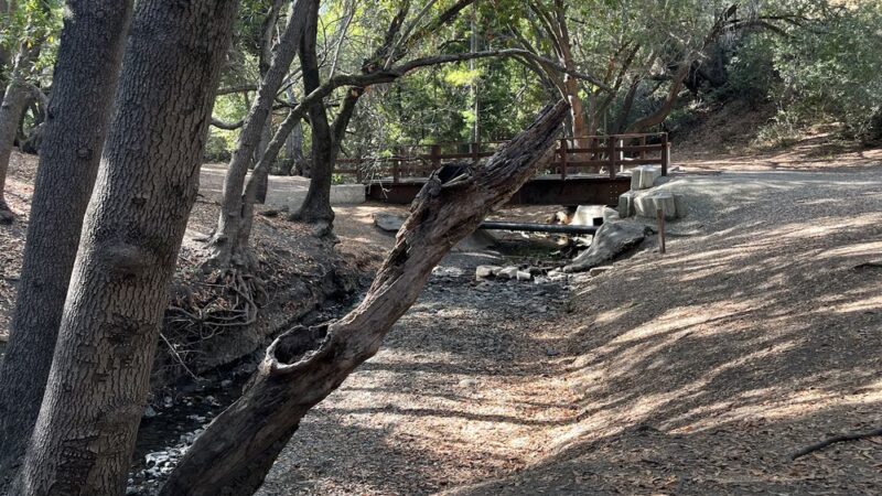 Lower Entrance | Stulsaft Park - Redwood City, CA