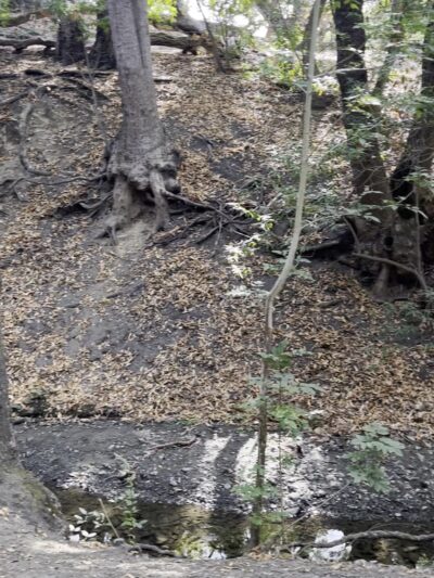 Lower Entrance | Stulsaft Park - Redwood City, CA