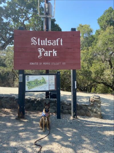 Lower Entrance | Stulsaft Park - Redwood City, CA