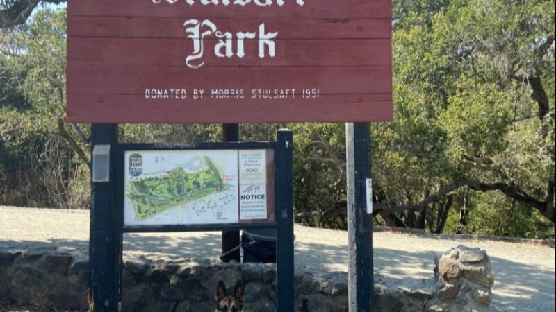 Lower Entrance | Stulsaft Park - Redwood City, CA