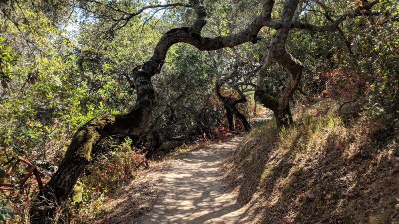 Pulgas Ridge Open Space Preserve - Redwood City, CA