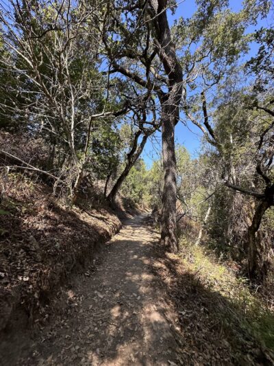Pulgas Ridge Open Space Preserve - Redwood City, CA