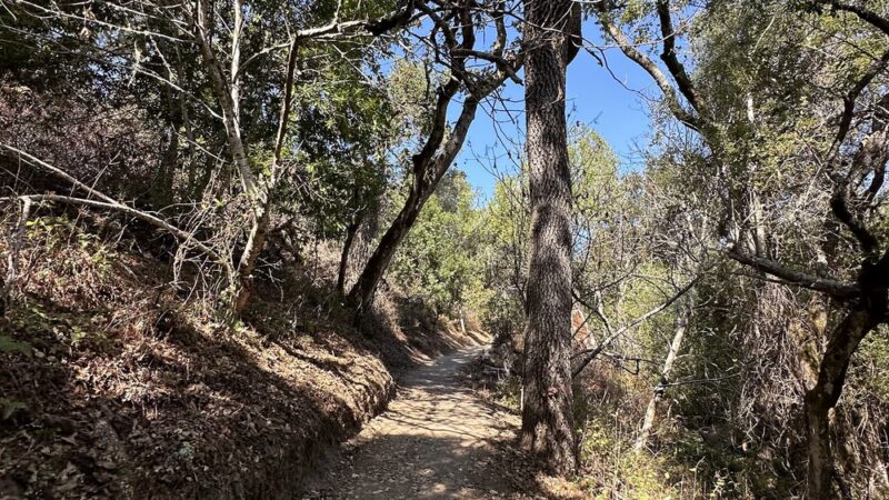 Pulgas Ridge Open Space Preserve - Redwood City, CA