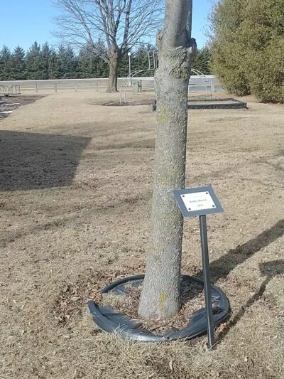 Branch Recreational Park - Reedsville, WI