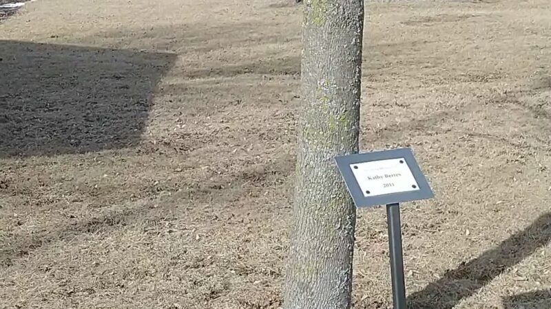 Branch Recreational Park - Reedsville, WI