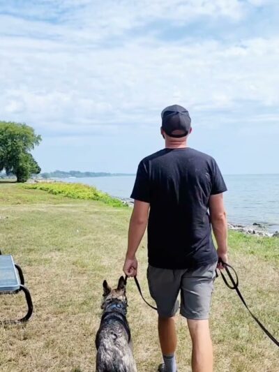 Honor Your Dog: Training and Behavior Solutions - Reedsville, WI