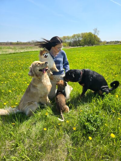 Honor Your Dog: Training and Behavior Solutions - Reedsville, WI