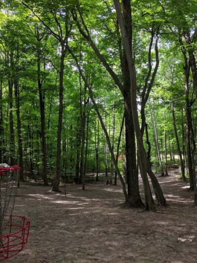 Rollin Ridge Disc Golf Course - Reedsville, WI