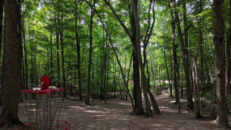 Rollin Ridge Disc Golf Course - Reedsville, WI