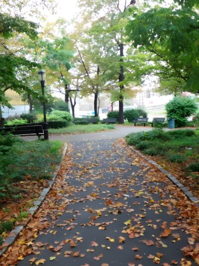 Barrier Playground - Rego Park, NY