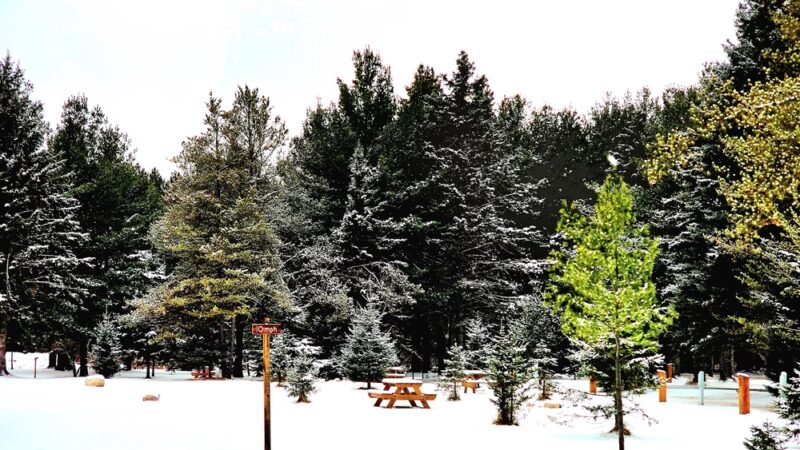 Remer Motel and Campground - Remer, MN