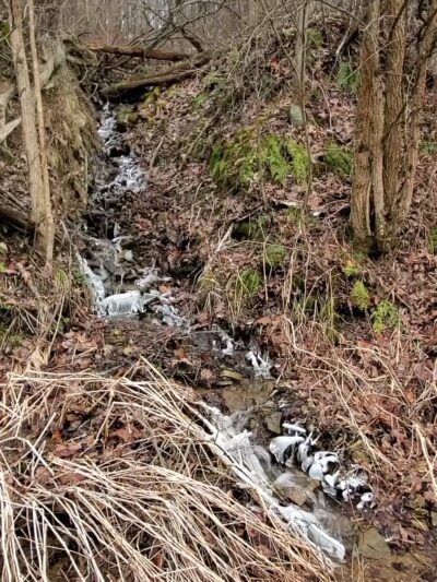 Creek Road Natural Area - Renfrew, PA