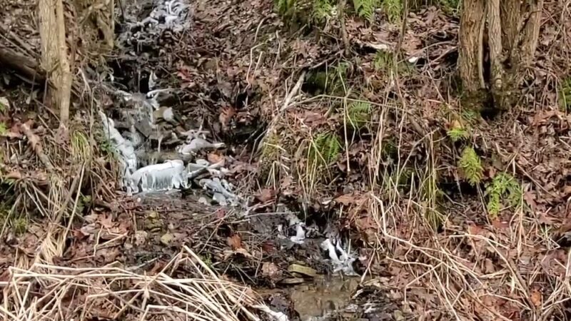 Creek Road Natural Area - Renfrew, PA
