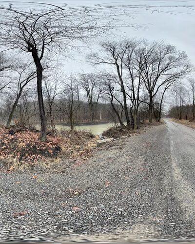 Creek Road Natural Area - Renfrew, PA