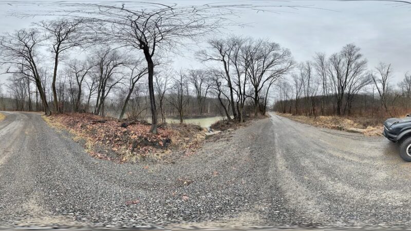 Creek Road Natural Area - Renfrew, PA