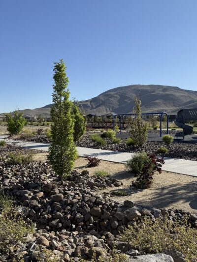 Cyan Park - Reno, NV