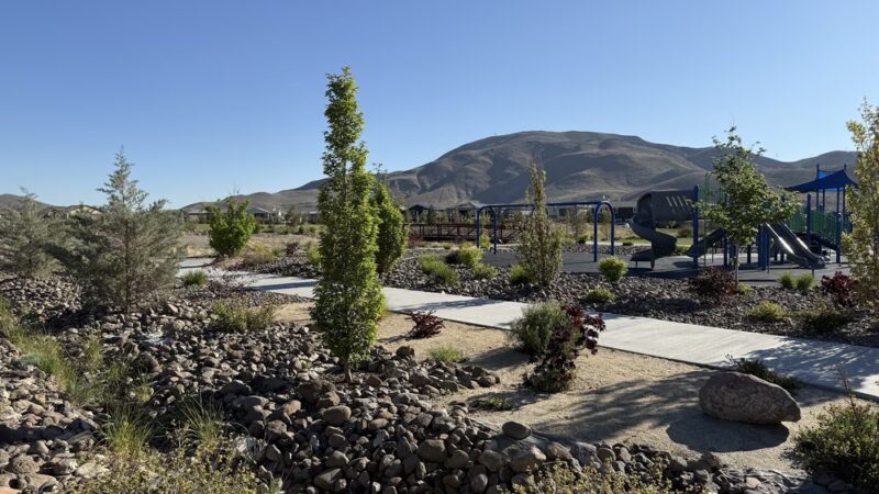 Cyan Park - Reno, NV