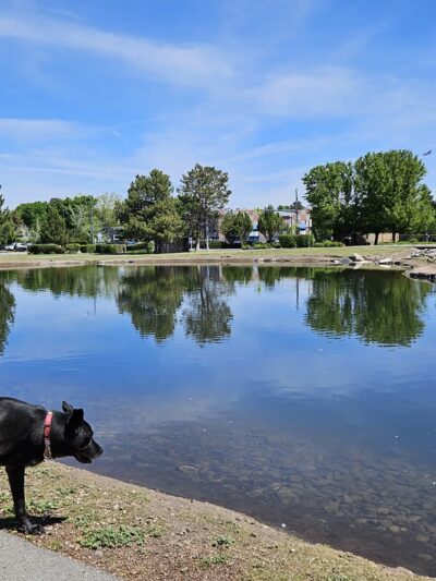 Duck Park - Reno, NV