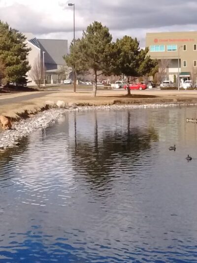 Duck Park - Reno, NV