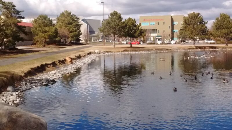 Duck Park - Reno, NV