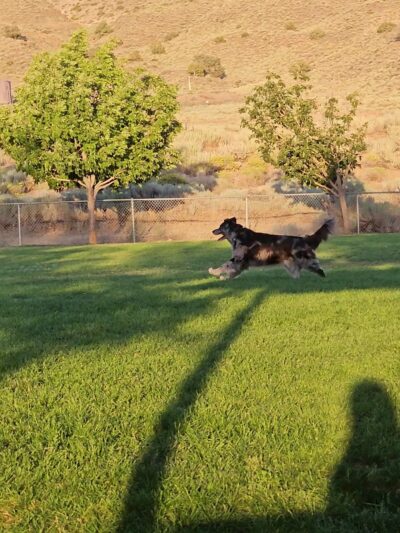 Hidden Valley Regional Park - Reno, NV
