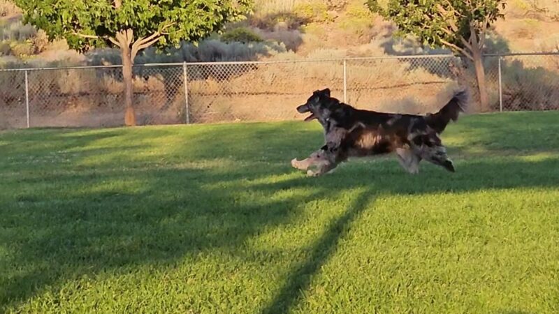 Hidden Valley Regional Park - Reno, NV