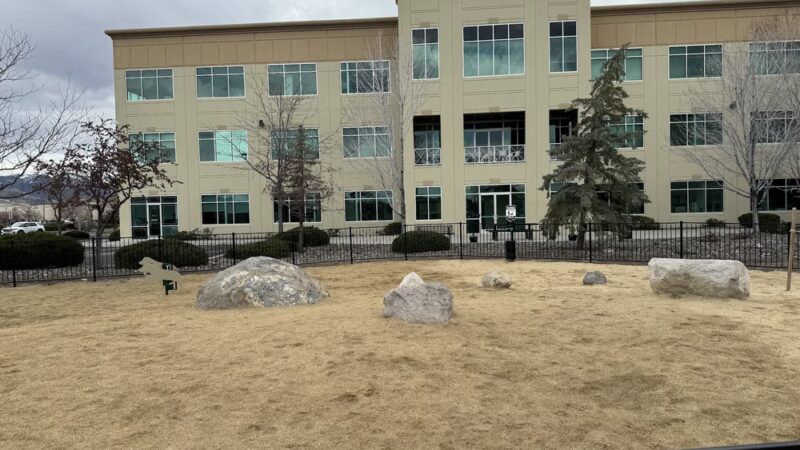 Integra Peaks Dog Park - Reno, NV