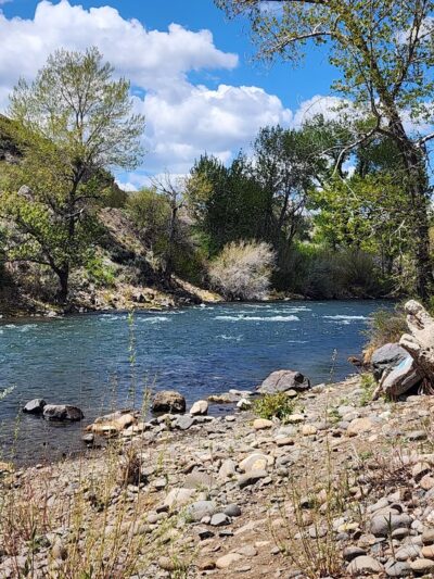 Mayberry Park - Reno, NV