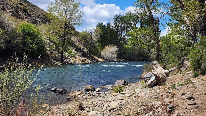 Mayberry Park - Reno, NV