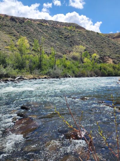 Mayberry Park - Reno, NV