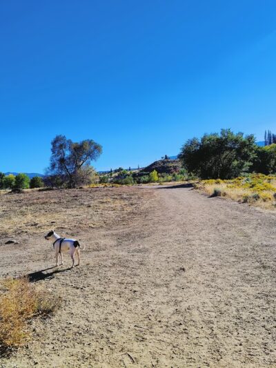 Wheatland Park - Reno, NV