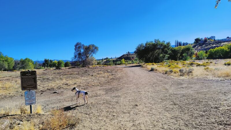 Wheatland Park - Reno, NV